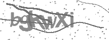 visual captcha